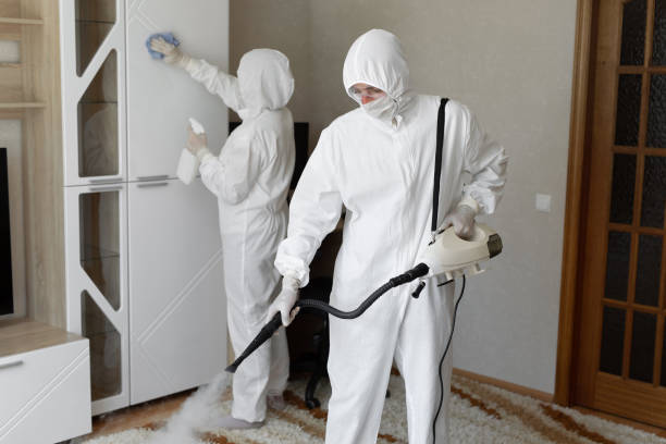 24/7 Emergency Odor Removal experts in Westville, IL