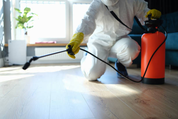 Reliable Odor Removal contractor in Westville, IL by Crime Scene Cleaner Online